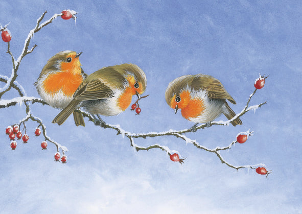 Robins and Berries